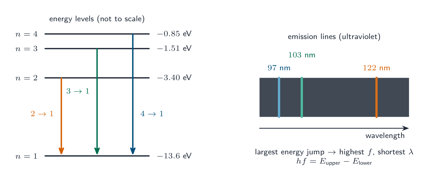 Each transition to the ground state produces one line, the biggest jump landing at the shortest wavelength