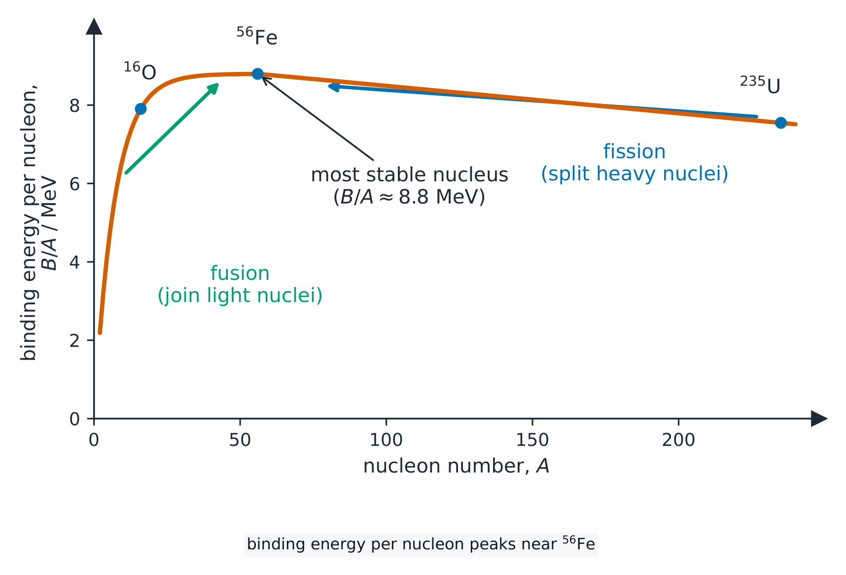 A graph of binding energy per nucleon in MeV against nucleon number: rising steeply for light nuclei to a peak of about 8.8 MeV near A = 56, then falling slowly for heavy nuclei, with arrows showing that fusion of light nuclei and fission of heavy nuclei both move towards the peak