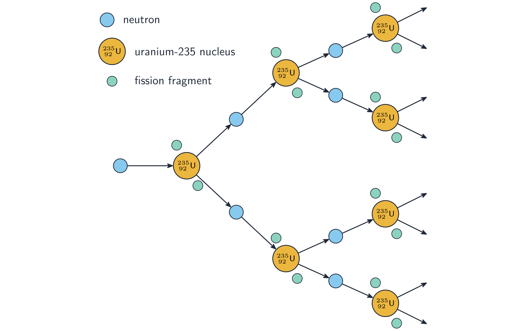 A branching tree in which one uranium-235 nucleus is split by a neutron into fission fragments plus neutrons, each of which splits a further uranium-235 nucleus, so the number of fissions multiplies generation by generation
