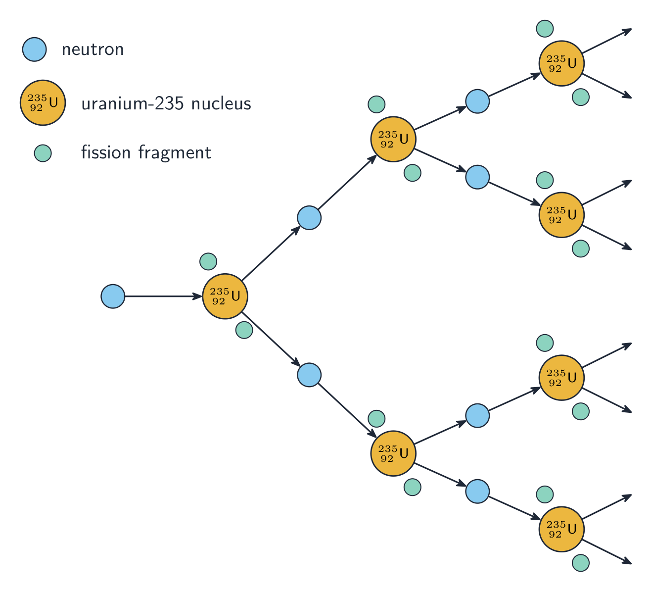A branching tree in which one uranium-235 nucleus is split by a neutron into fission fragments plus neutrons, each of which splits a further uranium-235 nucleus, so the number of fissions multiplies generation by generation