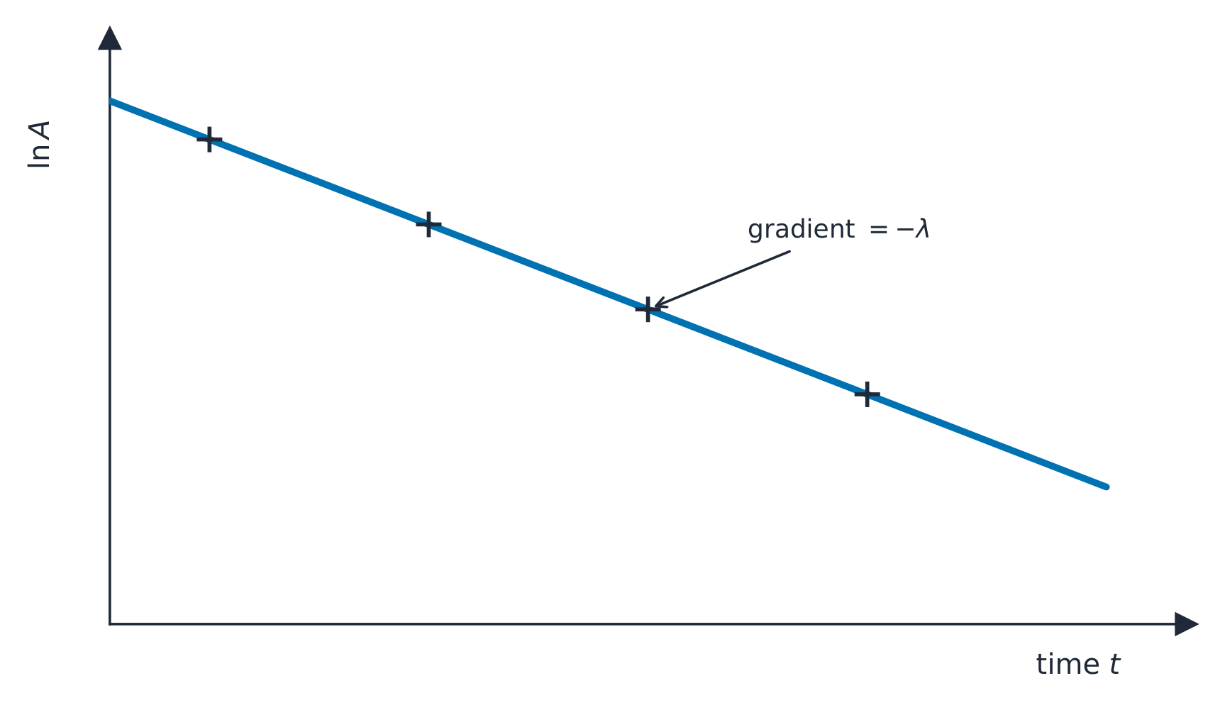 A graph of natural-log of activity against time: the data lie on a straight line falling with gradient minus lambda, confirming exponential decay and giving the decay constant