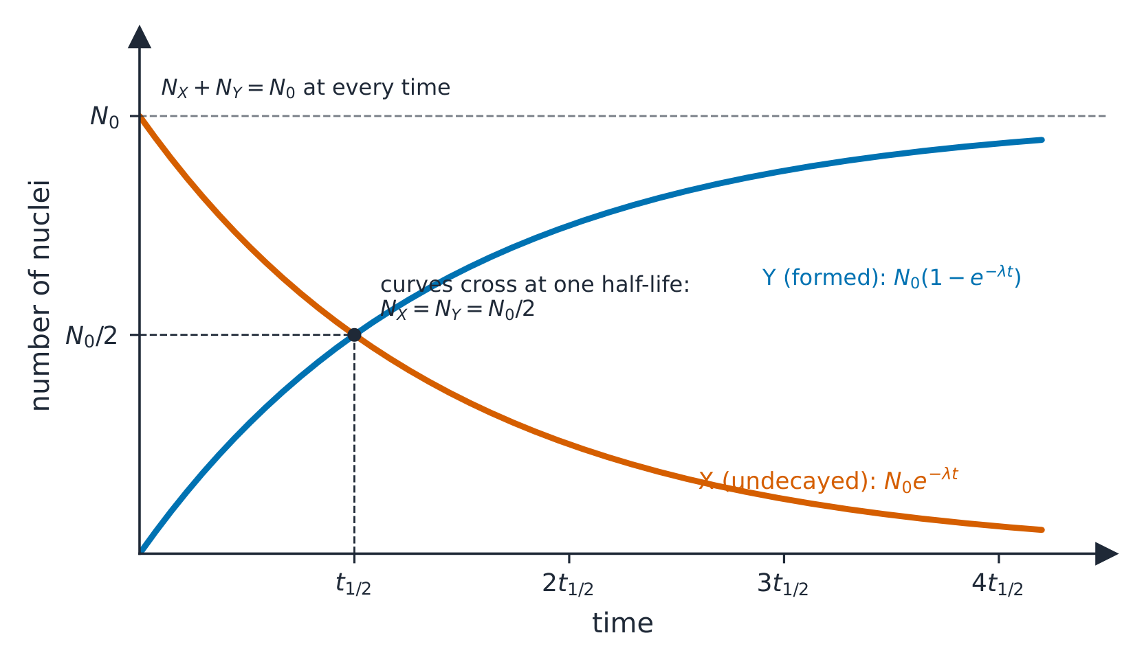 Two curves against time: the number of nuclei of isotope X falls exponentially from N0 while the number of nuclei of its stable daughter Y rises from zero; the curves cross at one half-life, where each is N0 over 2, and always add up to N0