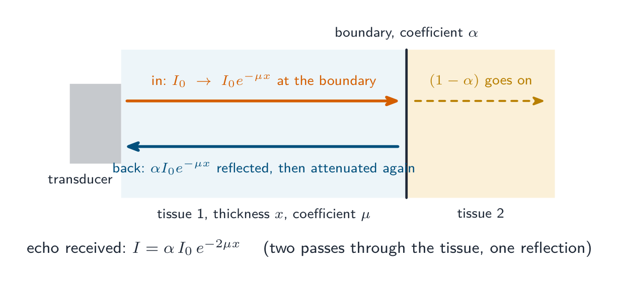 The intensity budget of one echo: the pulse is attenuated on its way to a boundary, a fraction alpha of what arrives is reflected, and the echo is attenuated again on the way back, so the received intensity is alpha times I0 times e to the minus 2 mu x