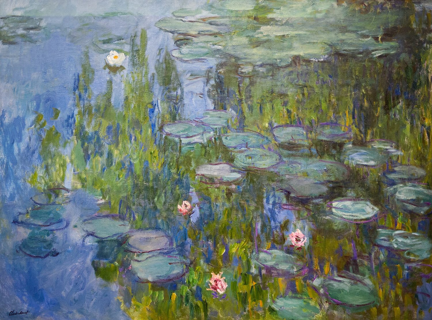 Monet water lilies: selected works need clear craft and presentation in the image