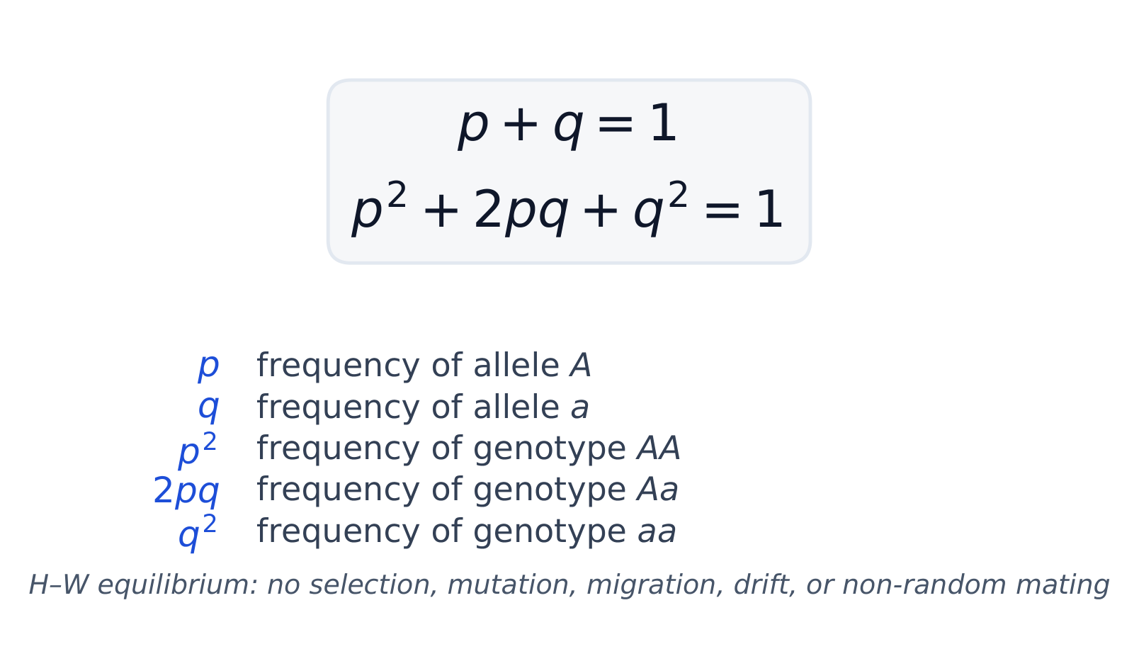 Hardy–Weinberg: allele frequencies p and q give genotype frequencies p², 2pq, q²