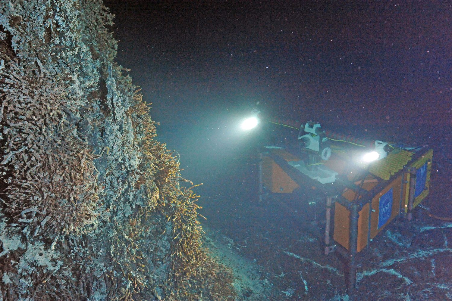 A hydrothermal vent: hot chemical-rich water may have powered early metabolism at life's origin