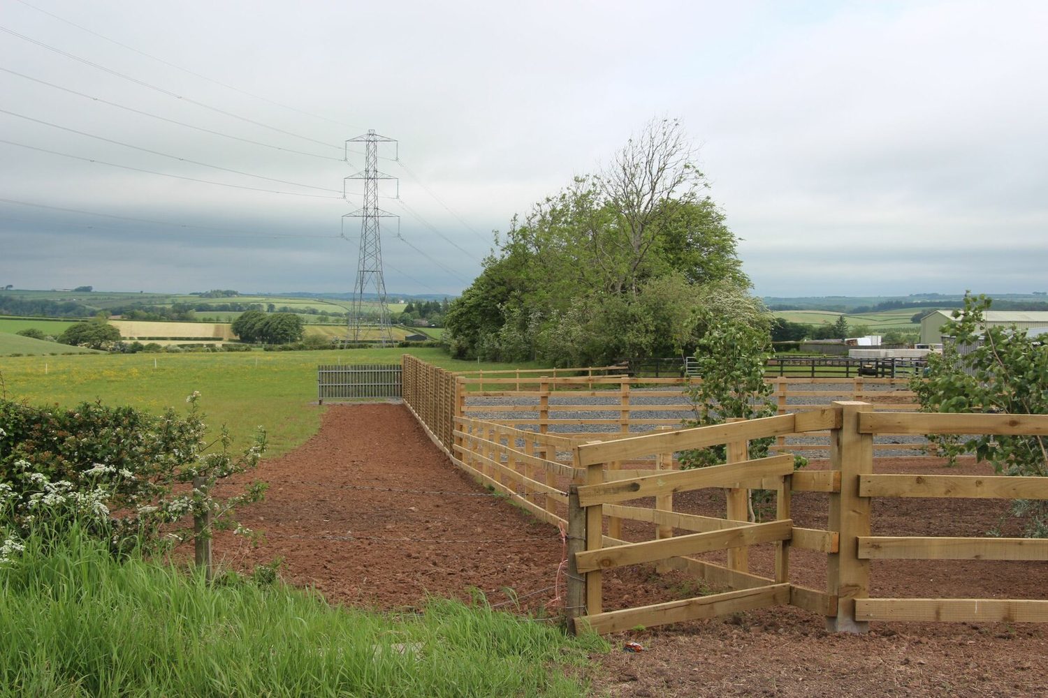 Fenced enclosures: optimization finds the dimensions that maximise area for a fixed fence length