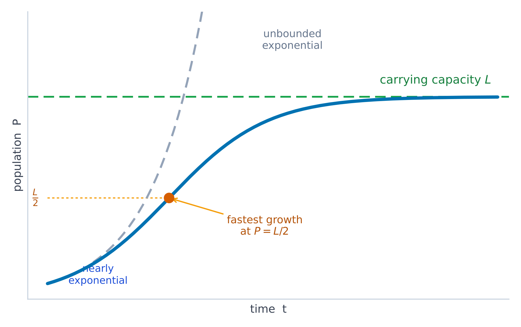 Logistic growth: nearly exponential at first then levelling off at the carrying capacity L