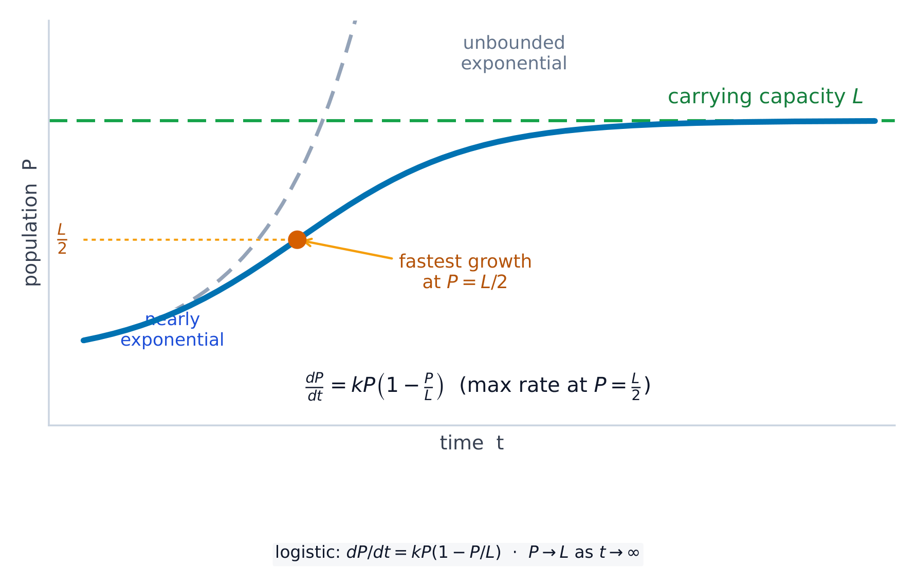 The logistic model grows fastest at P=L/2 and levels off at the carrying capacity L