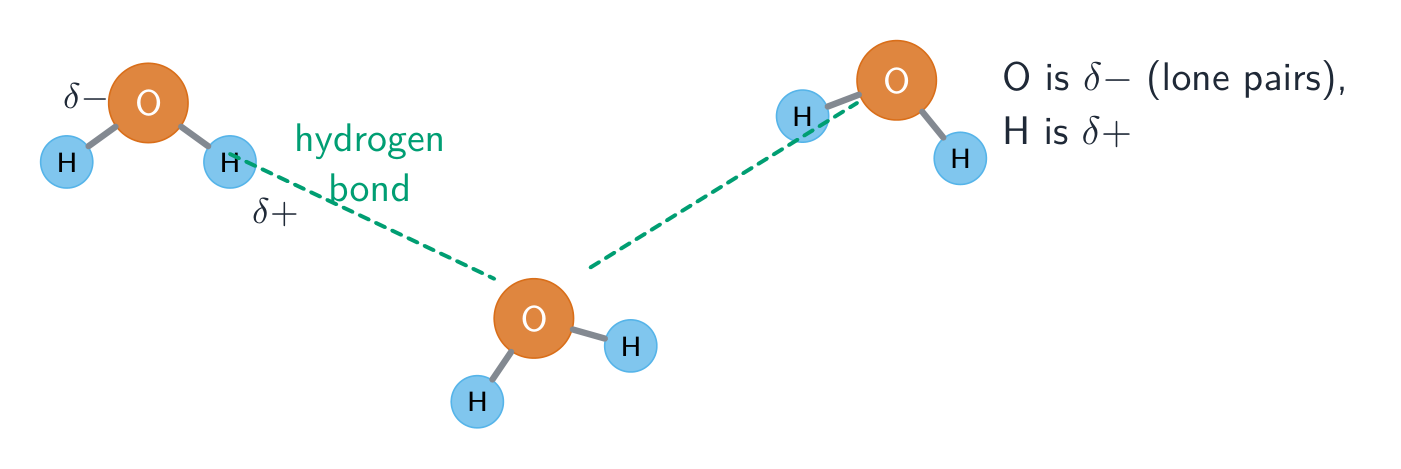 氢键:一个 N/O/F 上的 H 被吸引到另一个分子上的一个孤对