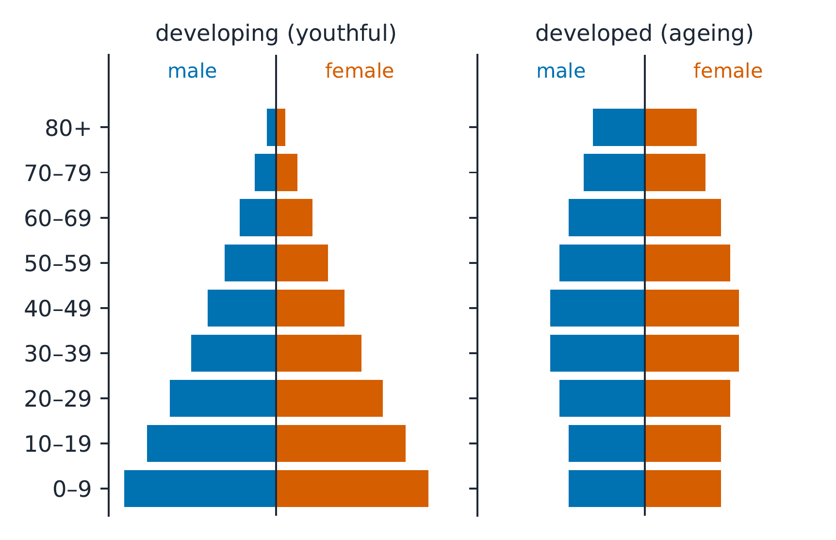 Population pyramids of a developing and a developed country