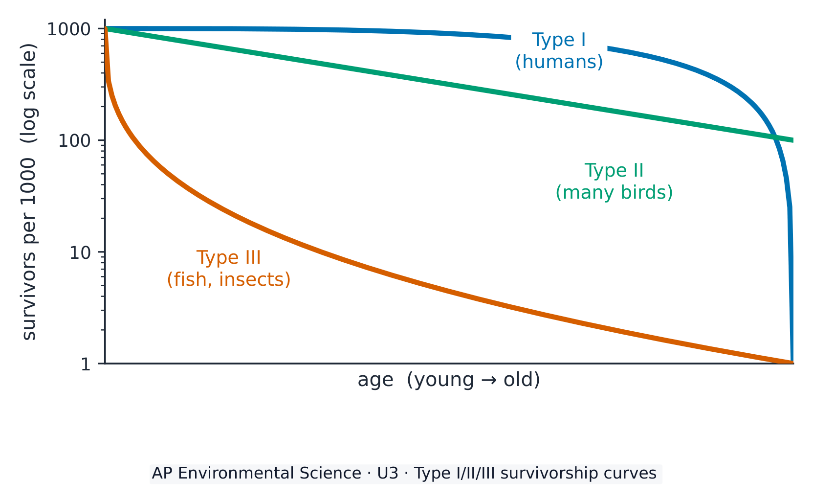 Type I, II, and III survivorship curves on a log scale