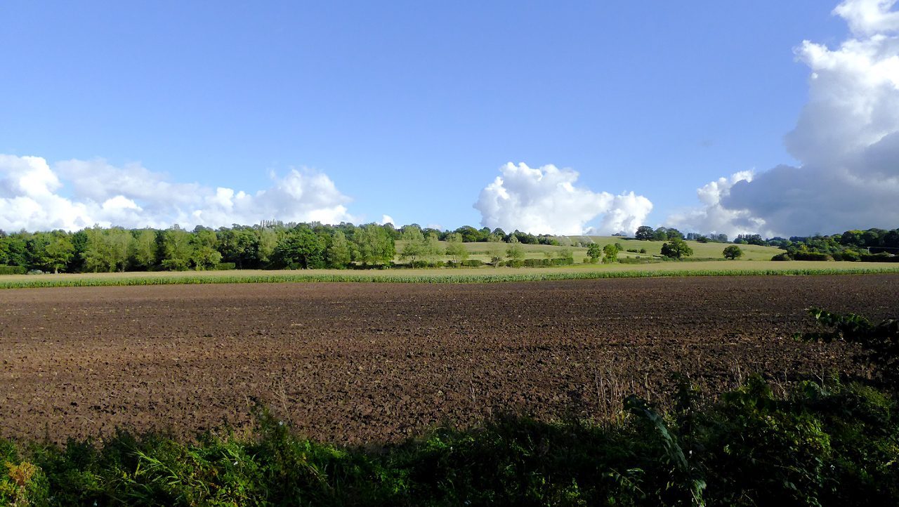 Intensive farmland: tillage, fertilisers and monocultures raise yields but can erode soil and pollute water