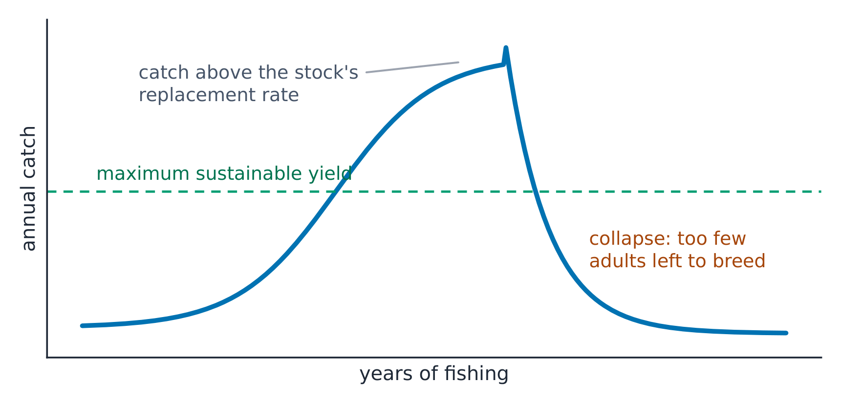Catch rises with effort until the stock collapses (illustrative)