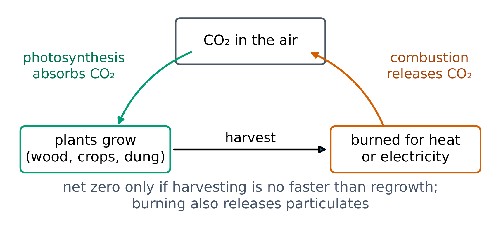 Biomass energy is carbon-neutral only if regrowth keeps pace with harvest