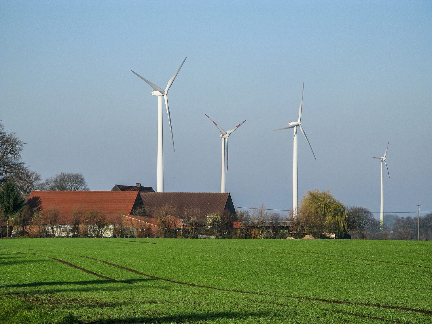 Wind turbines: renewable sources replenish on human timescales; fossil fuels do not