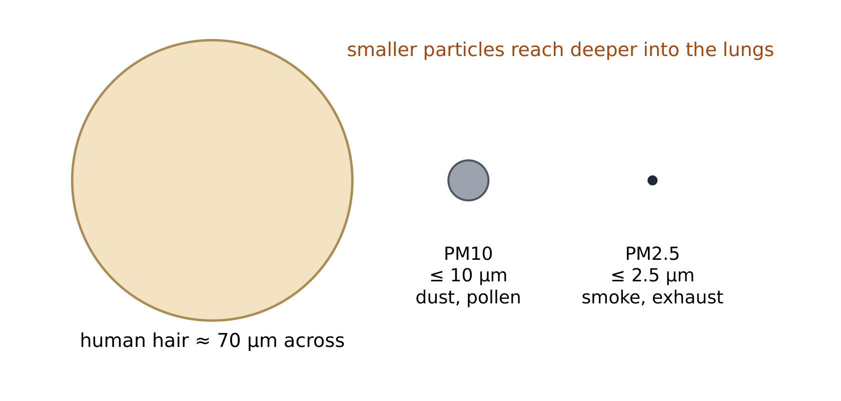 PM10 and PM2.5 compared with a human hair