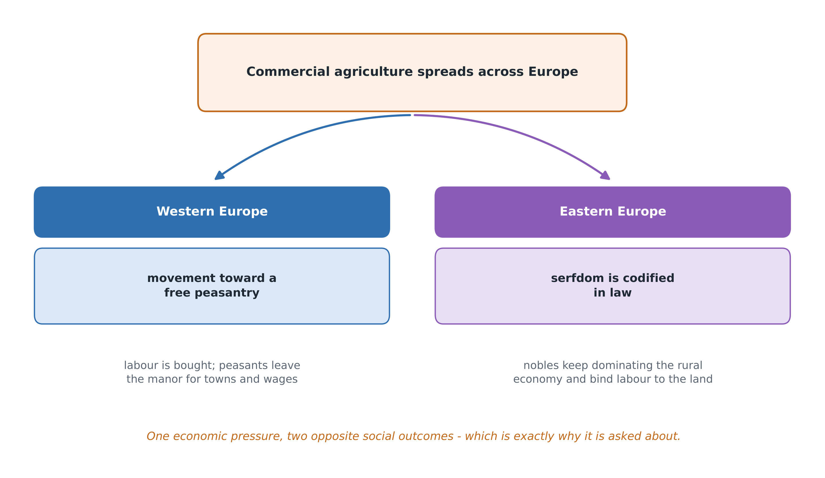 The same century pushed western and eastern Europe in opposite directions - and the CED asks about it