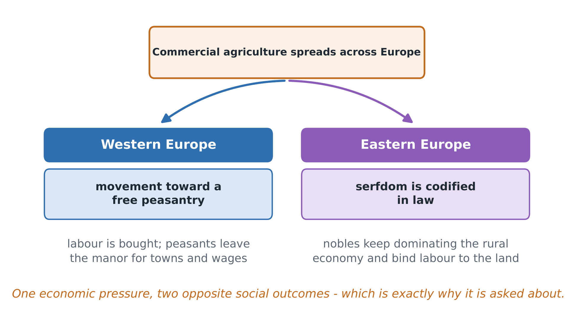 The same century pushed western and eastern Europe in opposite directions - and the CED asks about it