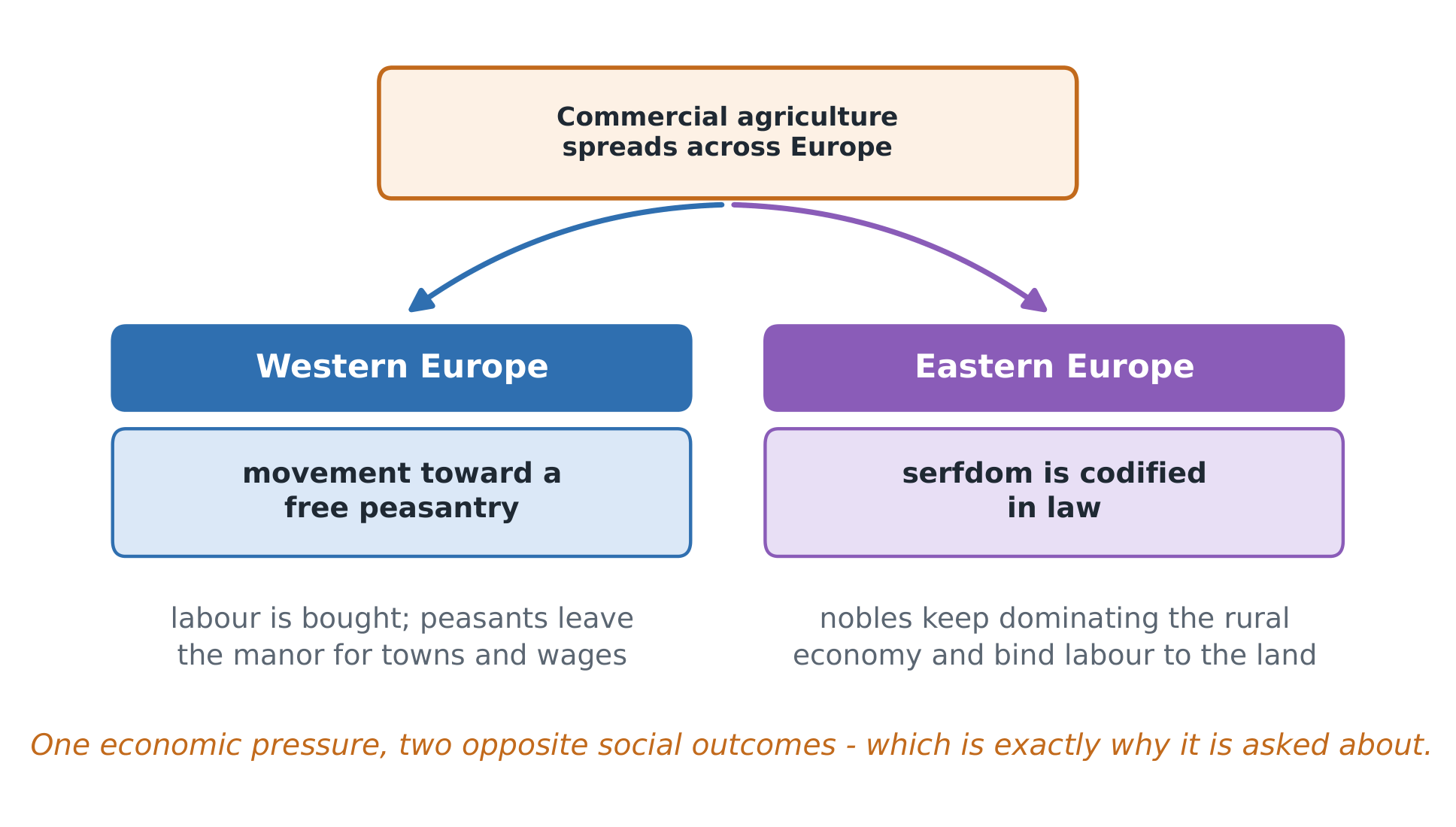 The same century pushed western and eastern Europe in opposite directions - and the CED asks about it