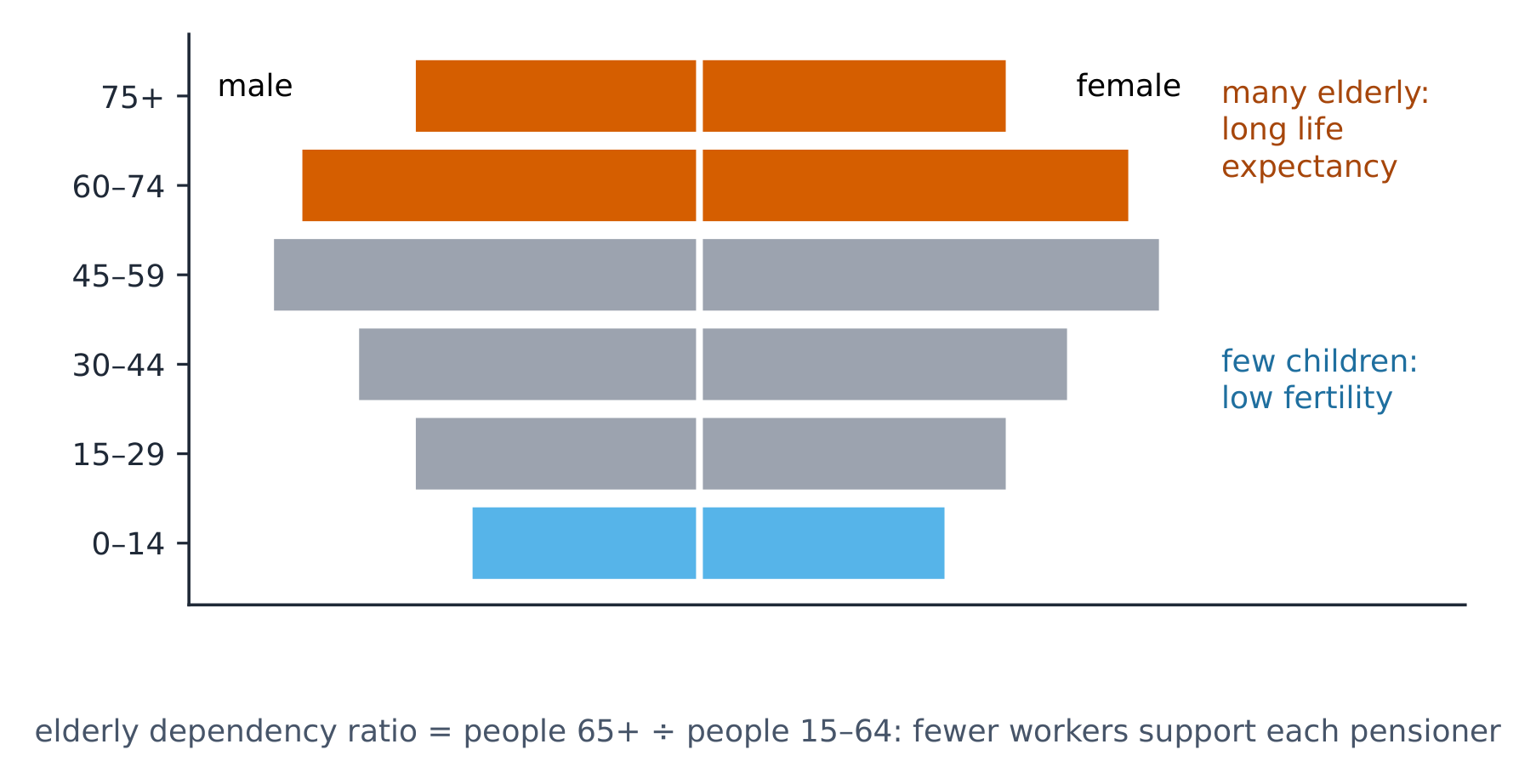 An aging population: a top-heavy pyramid and a rising elderly dependency ratio