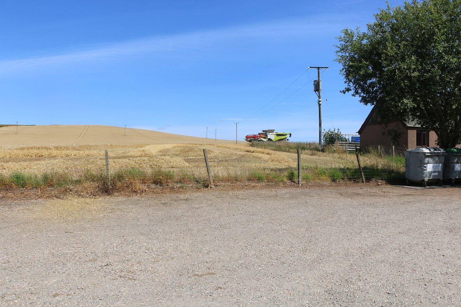 Intensive commercial farming: monocultures raise yields but can degrade soil and biodiversity
