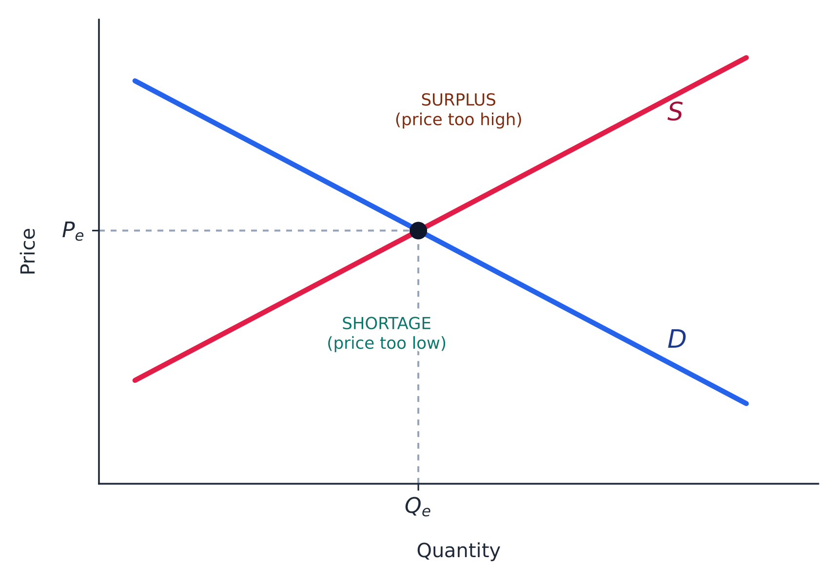 Market equilibrium sits where supply meets demand; away from it lie surplus and shortage