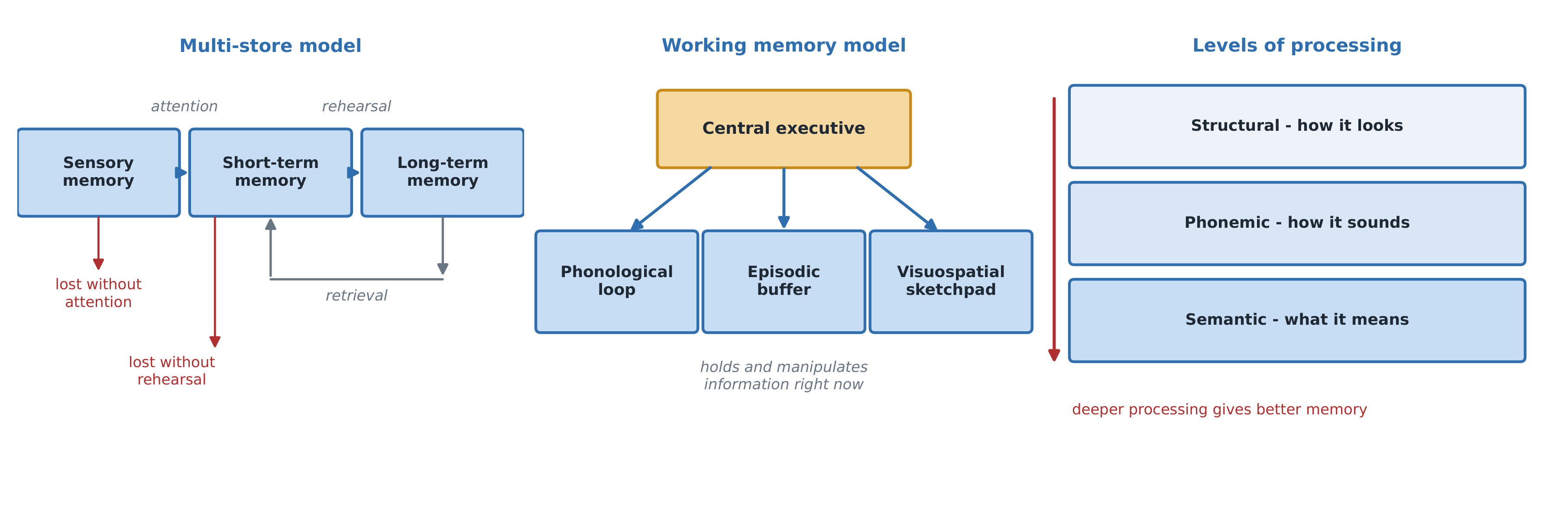 Three memory models side by side: the multi-store flow, working memory's components, and the levels-of-processing depth scale