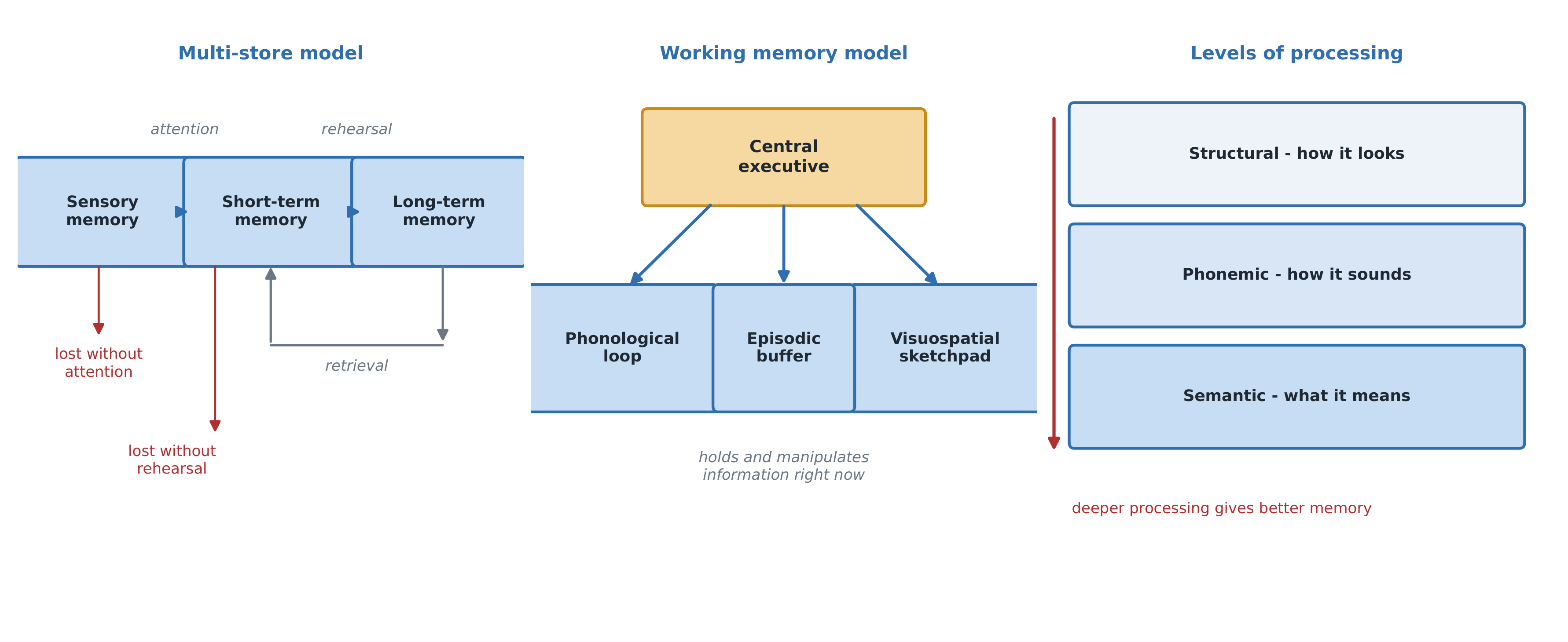 Three memory models side by side: the multi-store flow, working memory's components, and the levels-of-processing depth scale