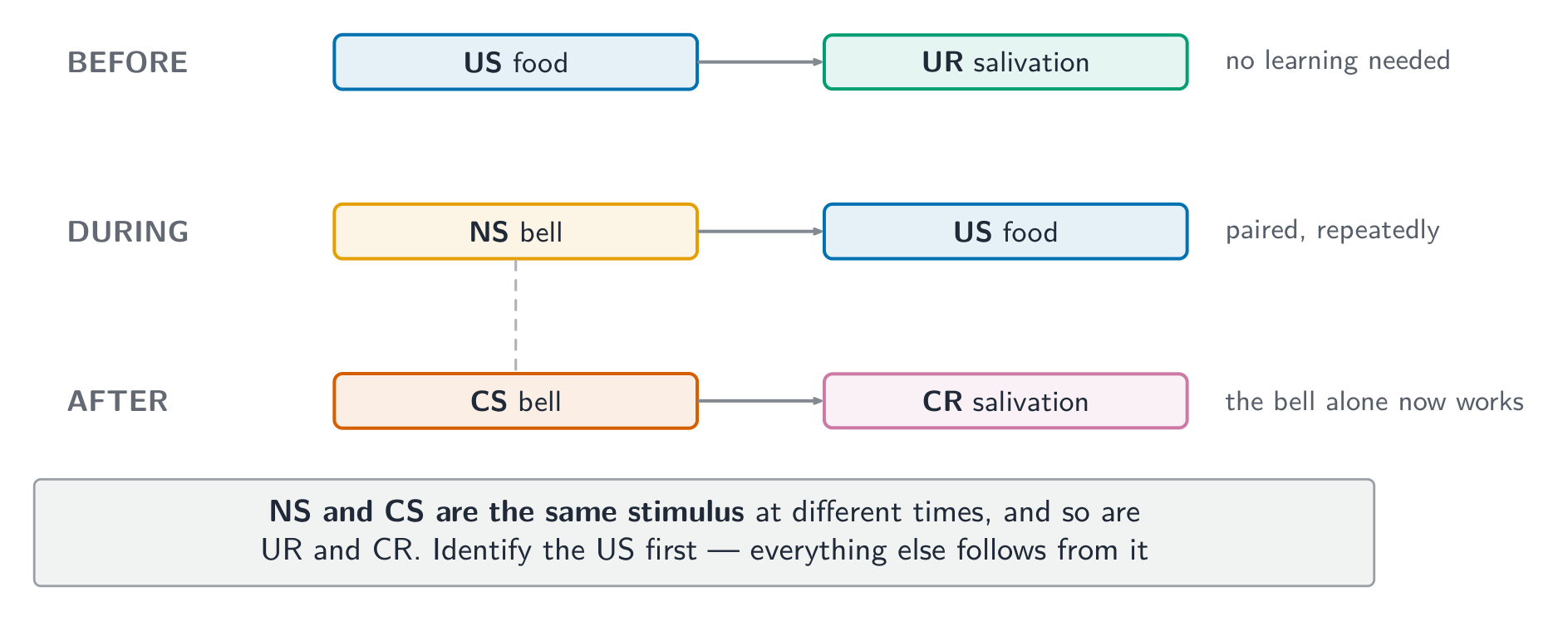 NS and CS are the same stimulus at different times - identify the US first