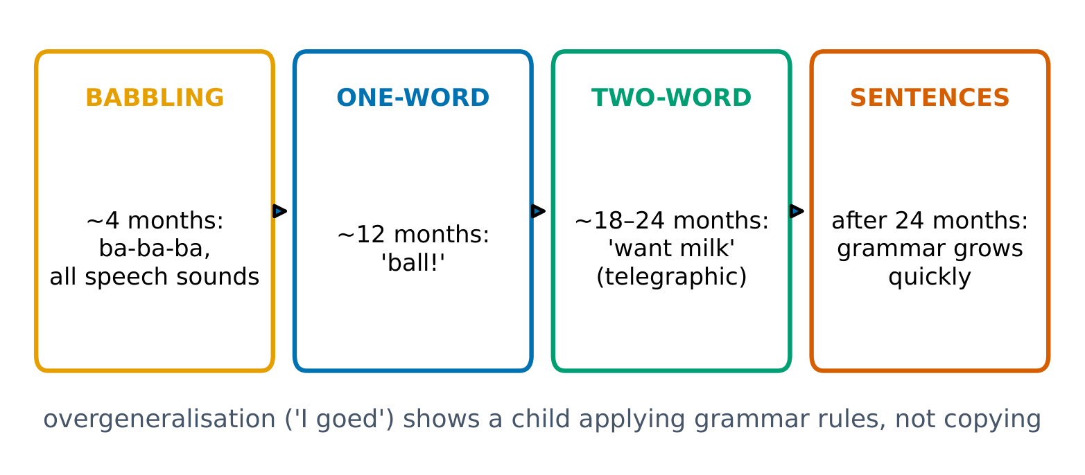 Stages of language development in the first years