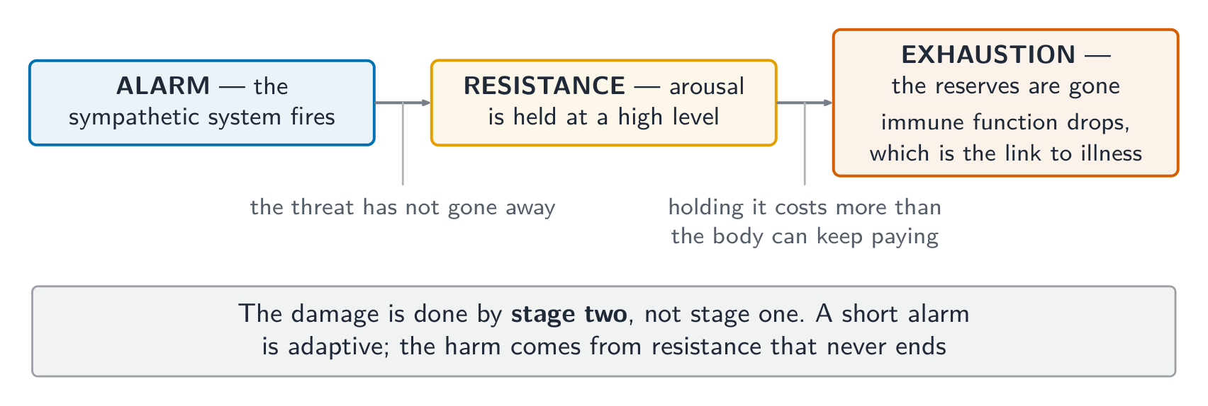 The damage is done by stage two - a short alarm is adaptive
