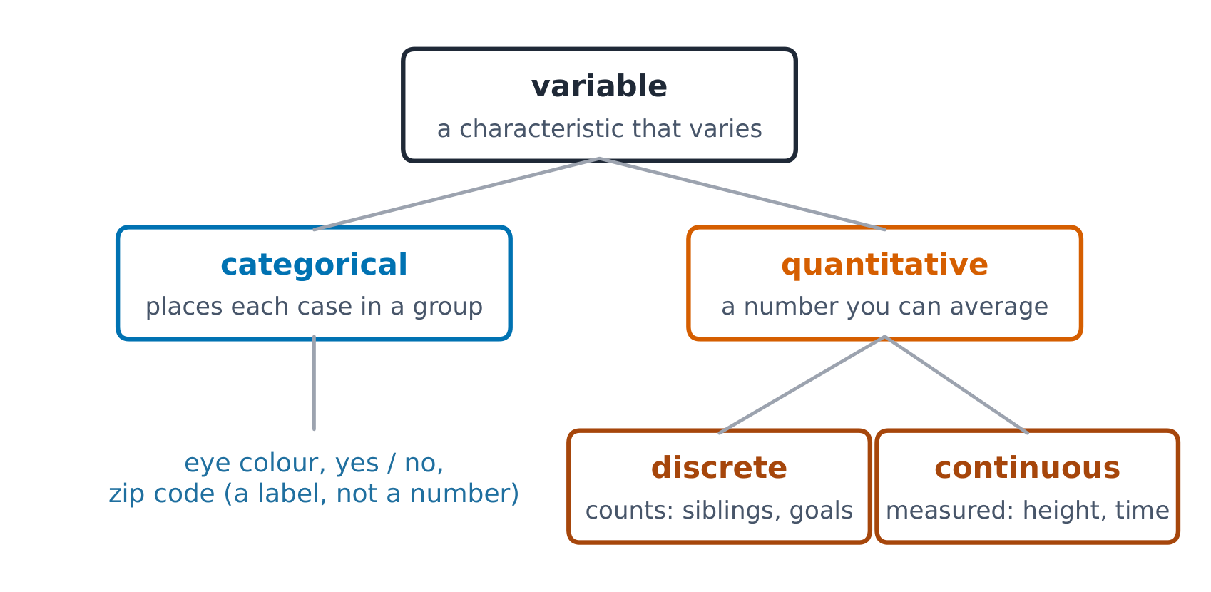 Categorical variables sort cases into groups; quantitative variables are numbers you can average