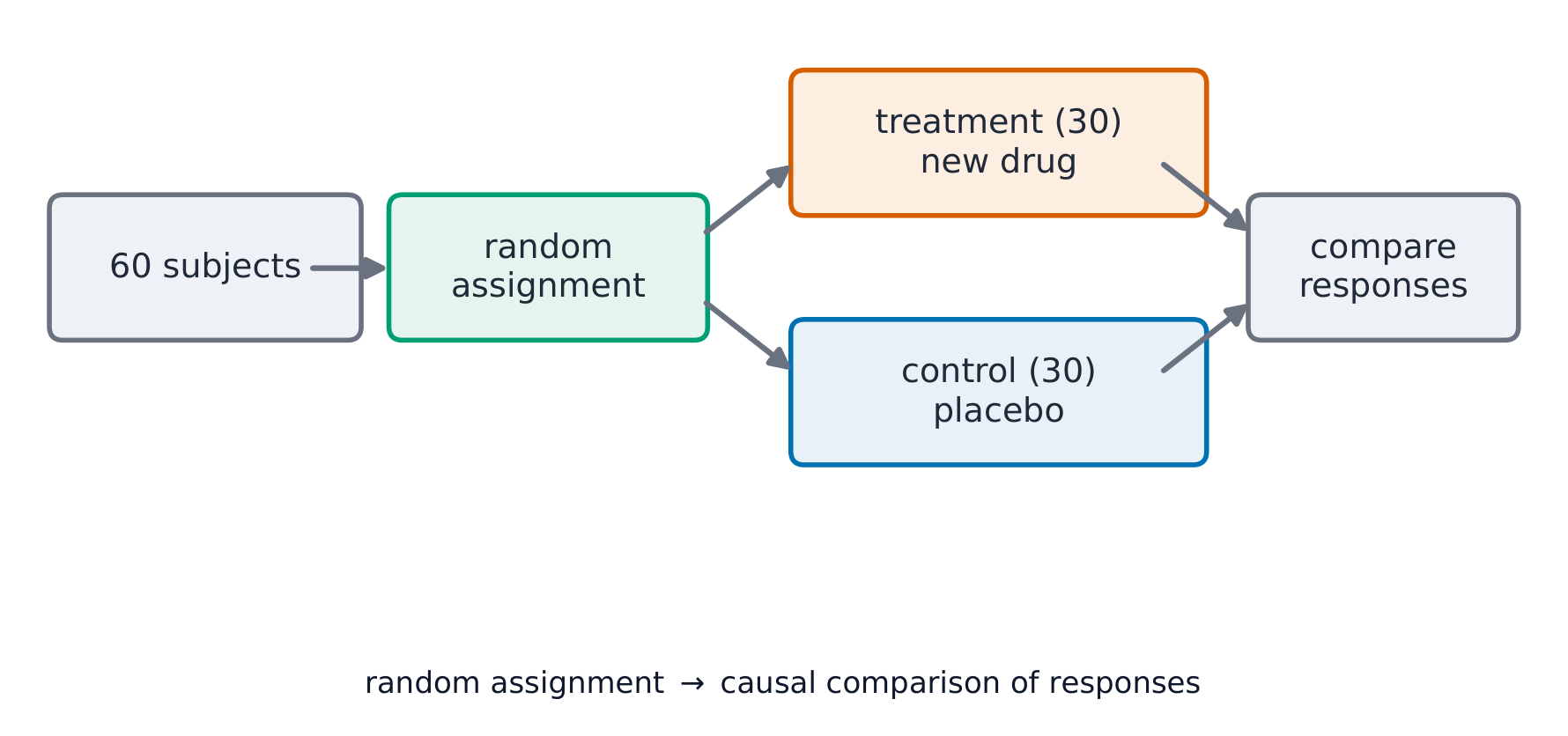 A completely randomized experiment compares a treatment group with a control group