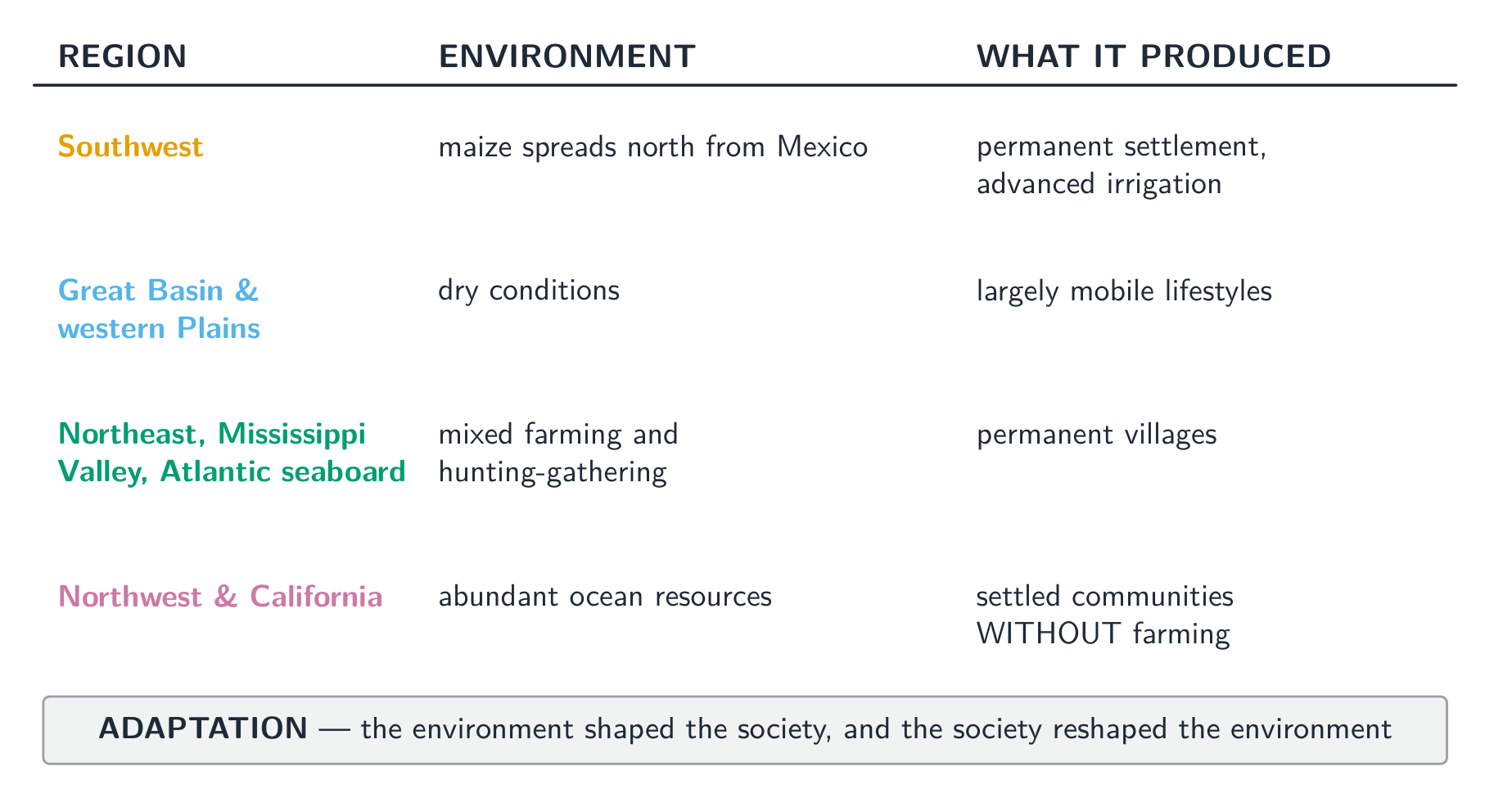 The CED's four regional groupings: one mechanism - environment shapes society - with different inputs