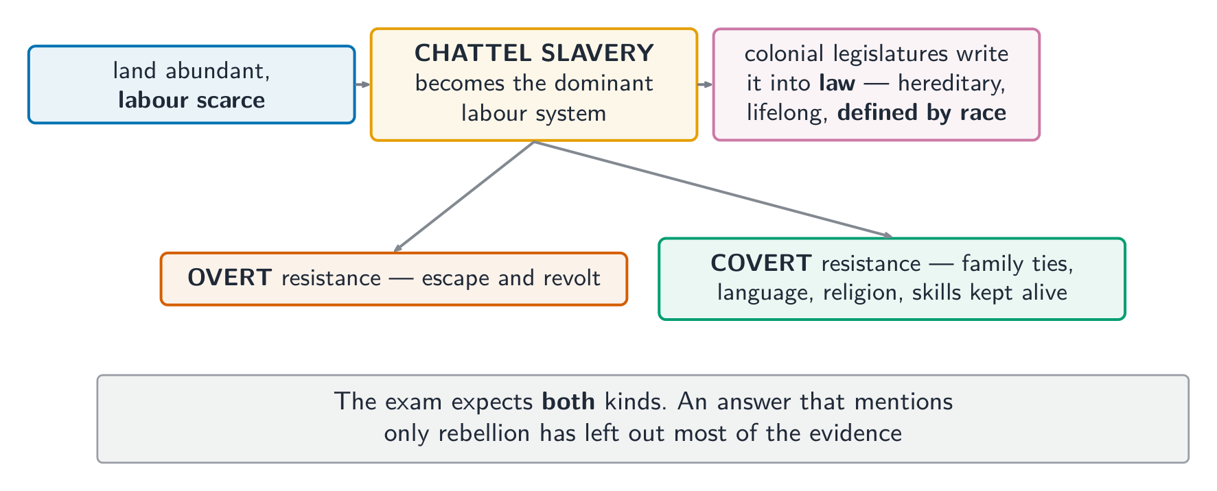 How slavery hardened into a legal racial system - and the two kinds of resistance to it
