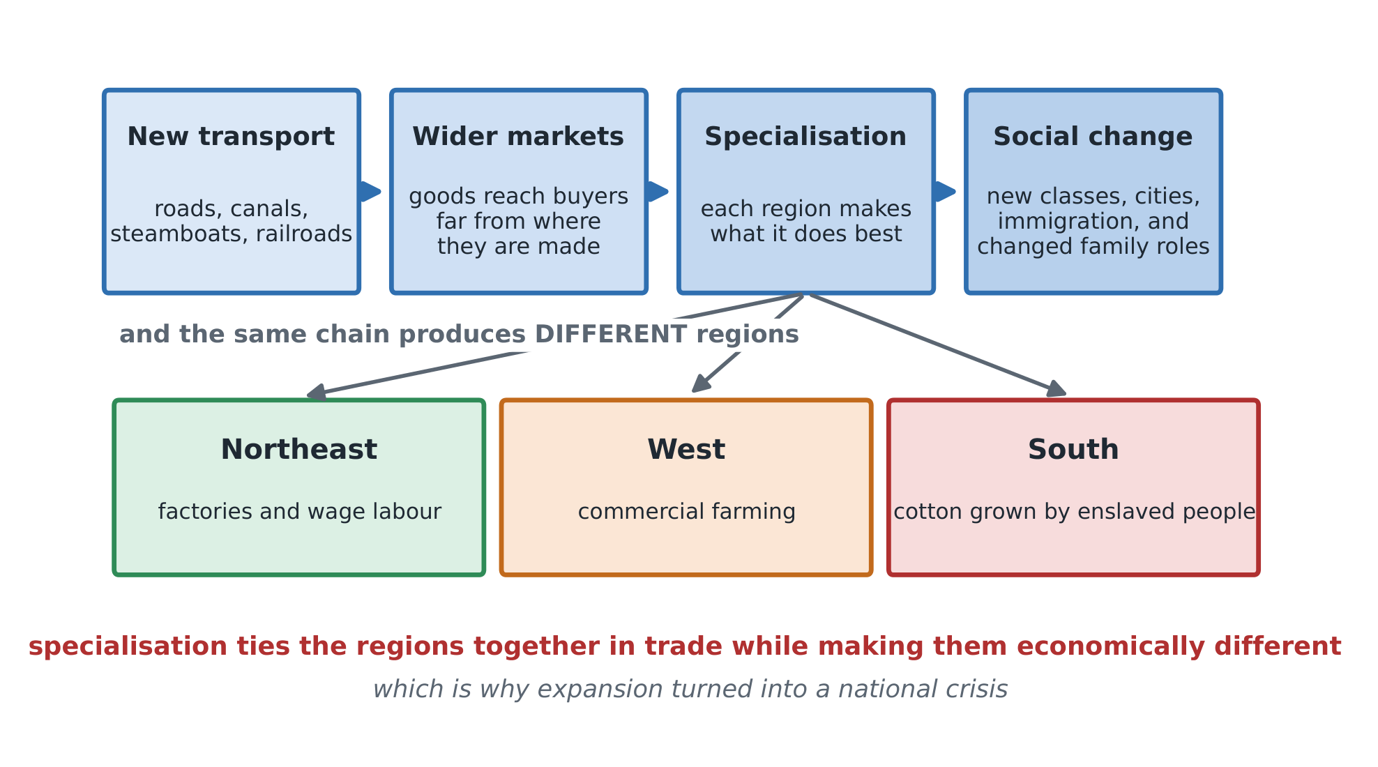 The market revolution as a chain: new transport creates wider markets, which drive specialisation, which reshapes each region and its society