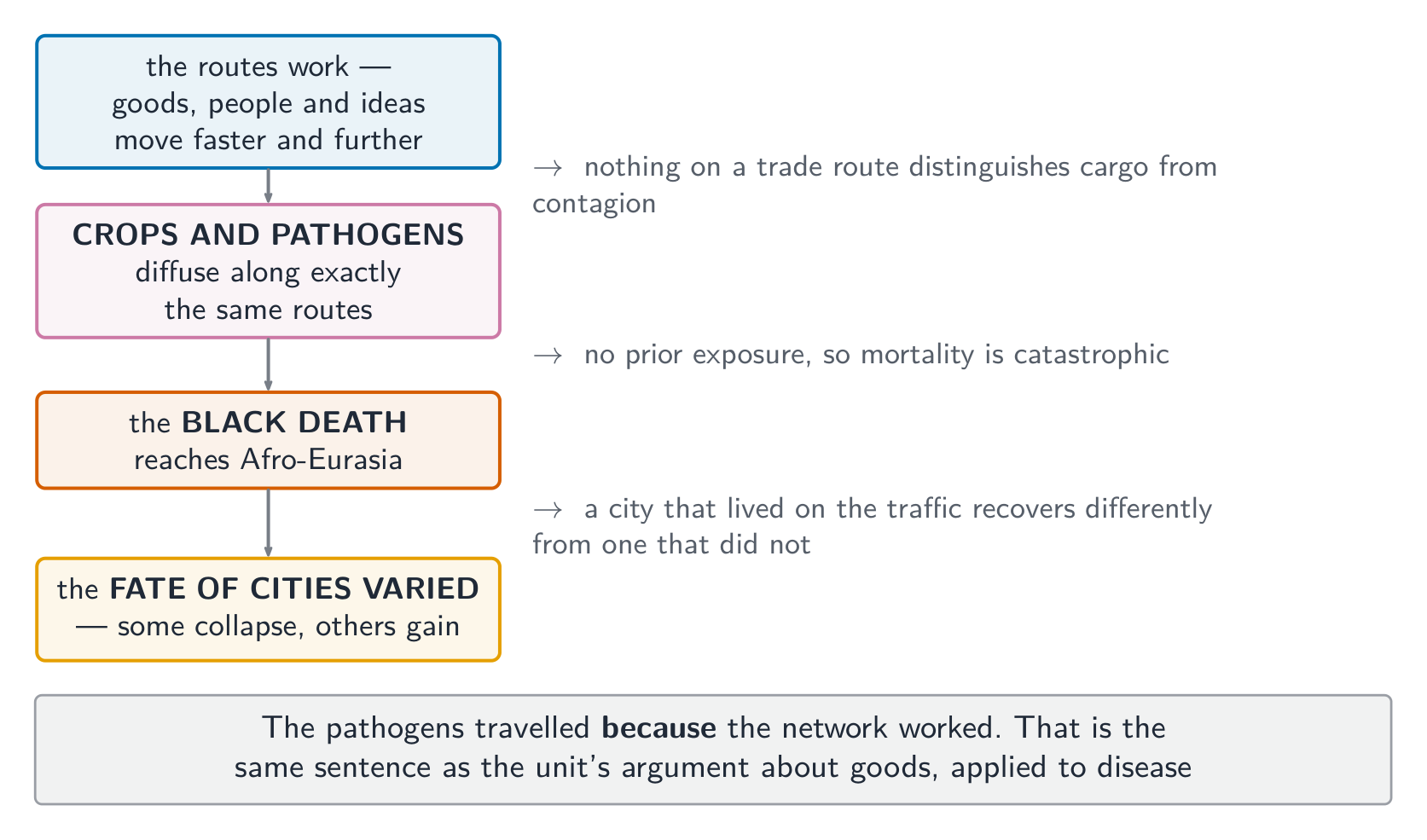 The pathogens travelled because the network worked - the same argument, applied to disease