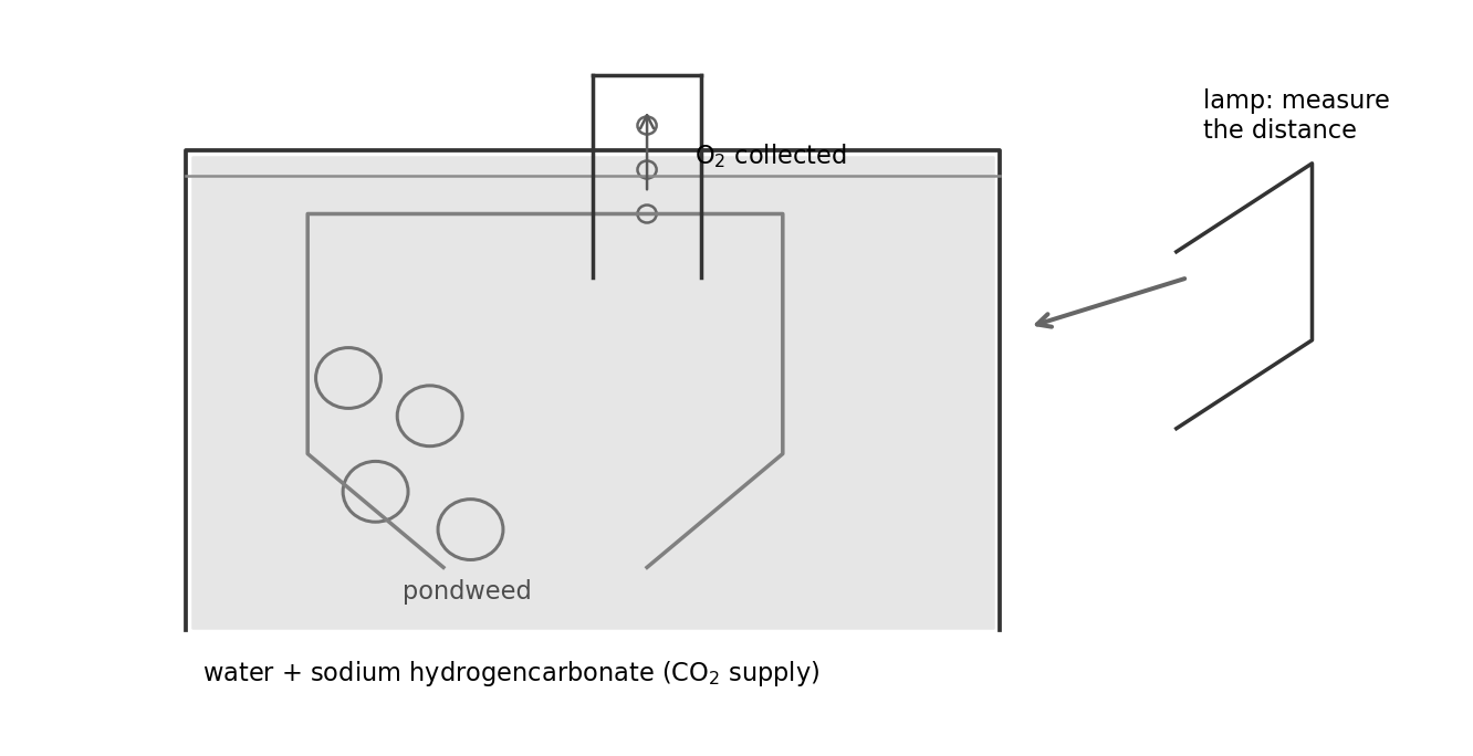 RP6 set-up: pondweed under an inverted funnel in a beaker, with a lamp at a measured distance.