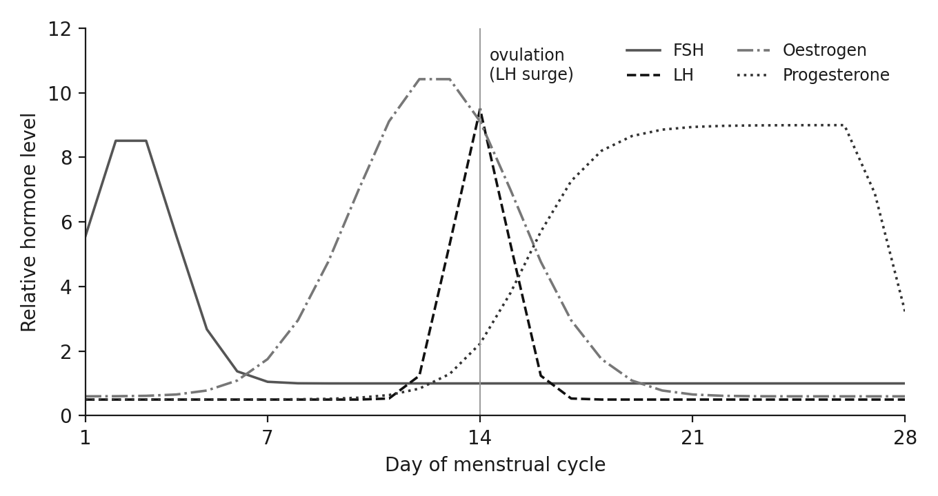 Hormone levels through the 28-day menstrual cycle: FSH early, an oestrogen rise, the day-14 LH surge and ovulation, then progesterone.