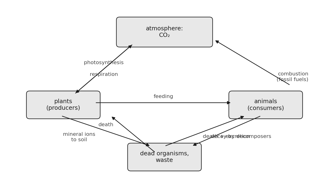 The carbon cycle: photosynthesis takes CO2 into plants, feeding passes carbon to animals, decay by decomposers returns it, with respiration and combustion releasing CO2.