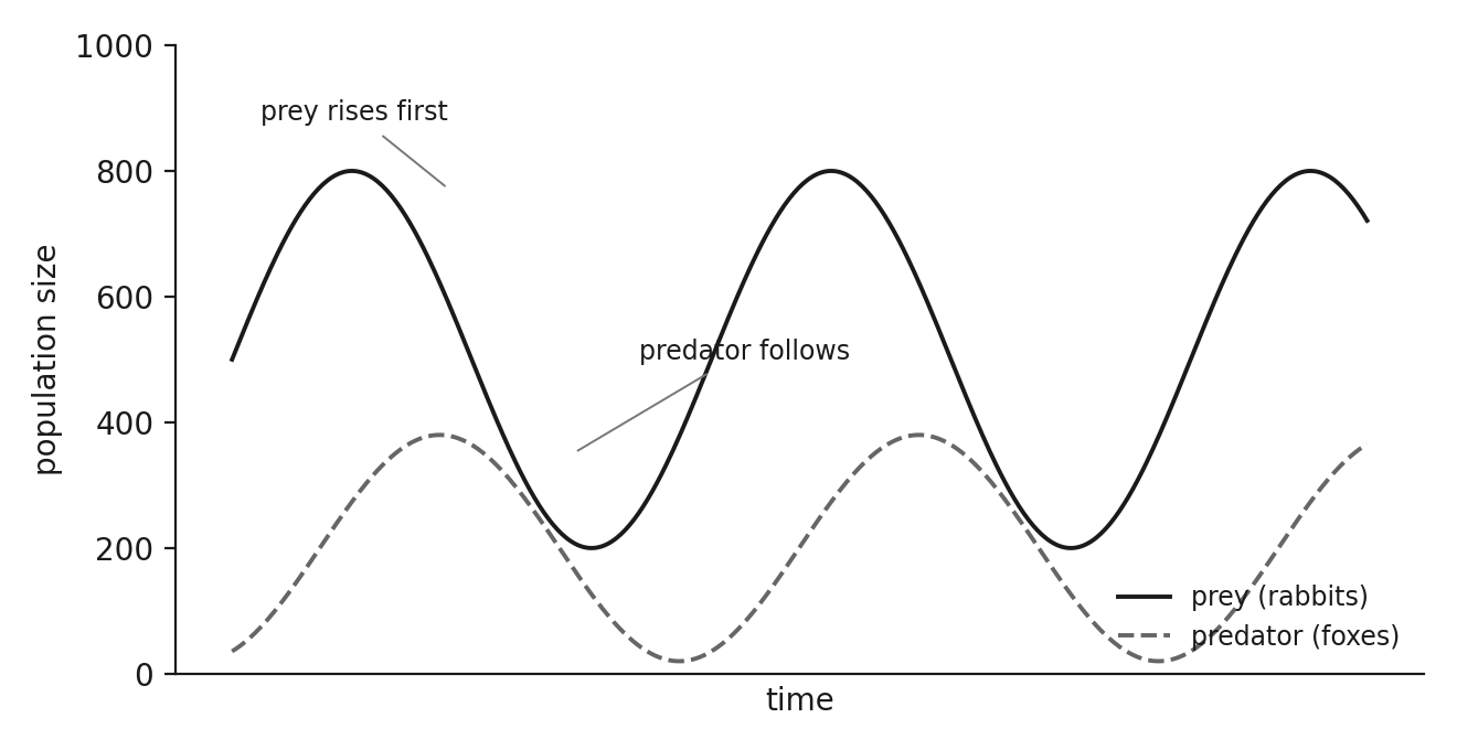 A predator-prey cycle: prey numbers rise first, the predator population follows with a delay, and both oscillate.