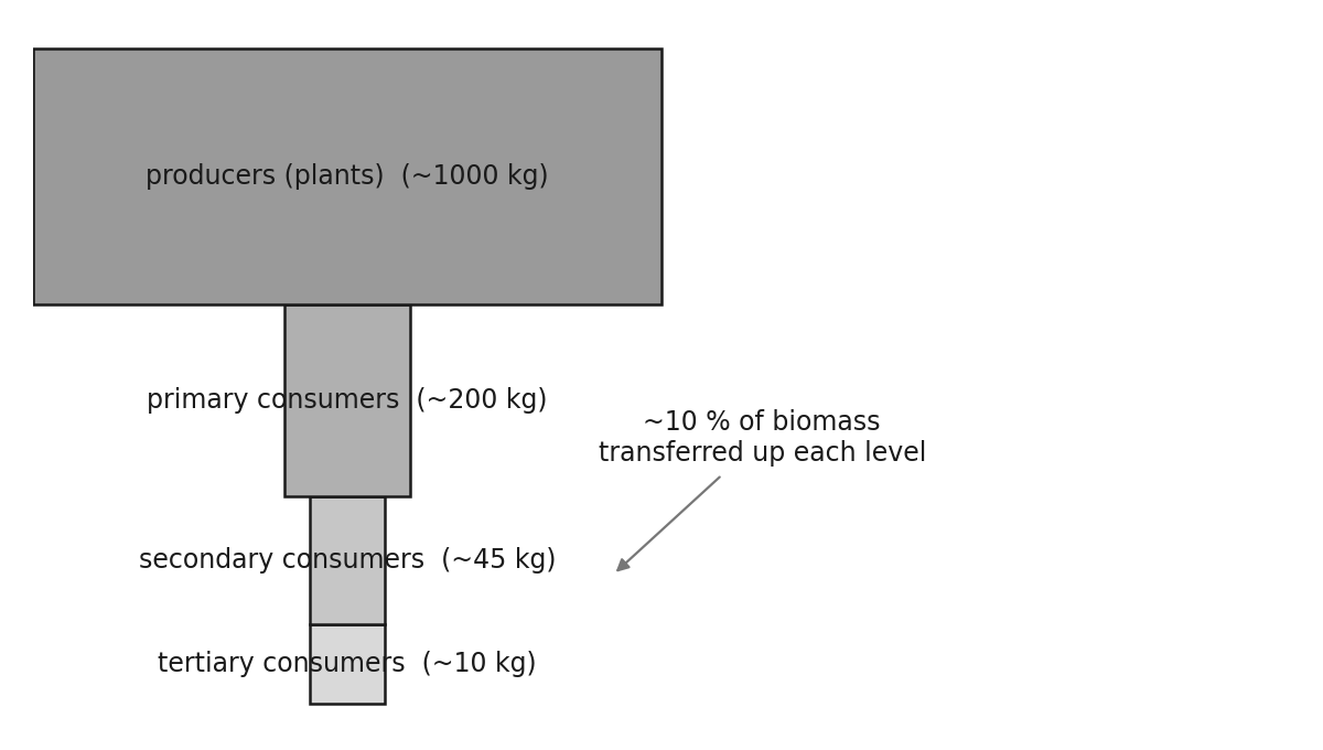 A pyramid of biomass with producers at the bottom and about 10 percent of biomass passing to each level above.