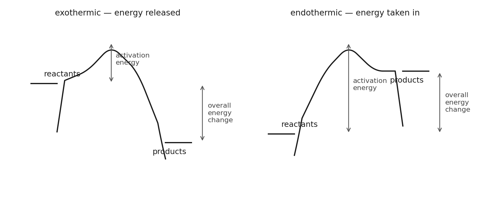 Profil de réaction exothermique et endothermique lisses, avec des flèches distinctes pour l'énergie d'activation et le changement global.
