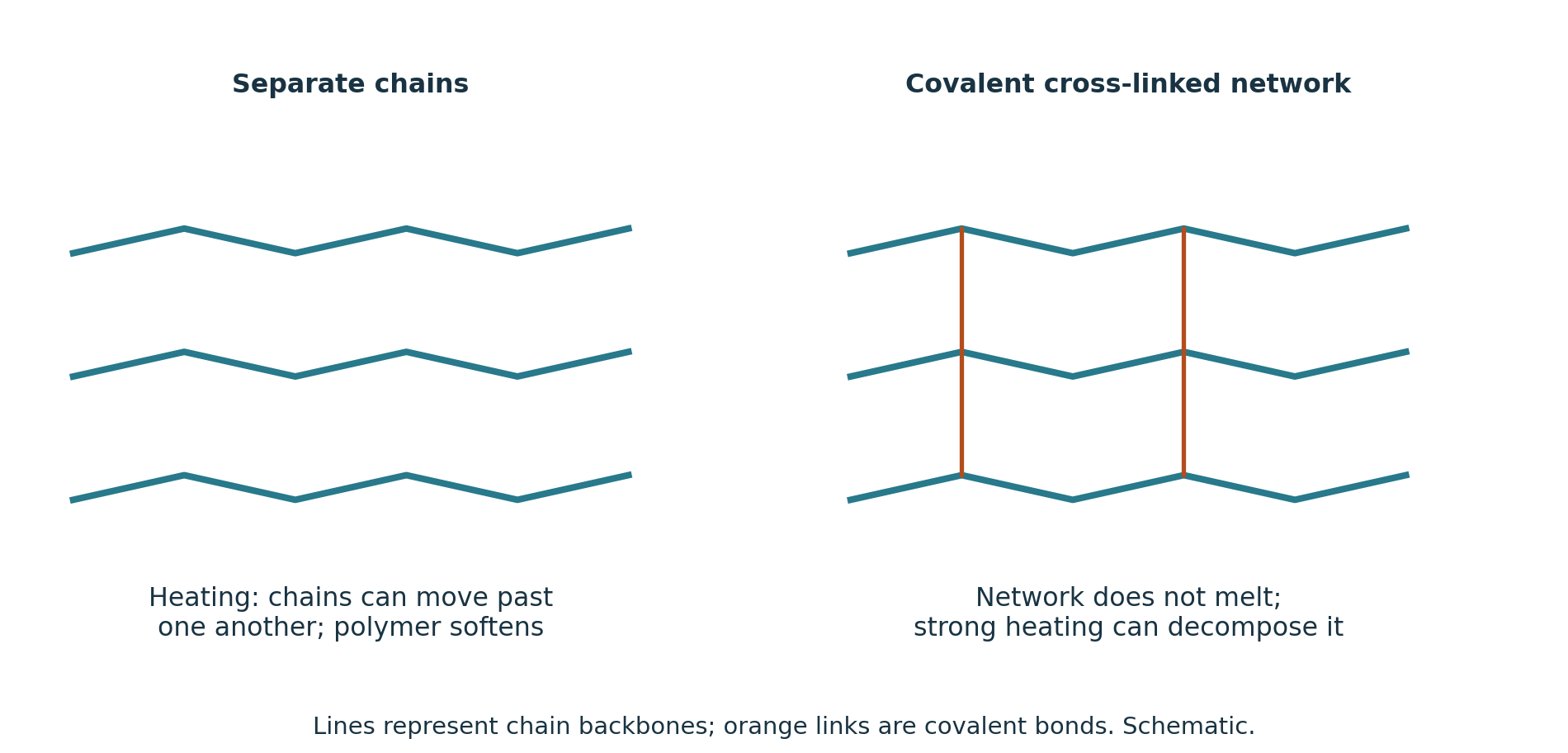 Separate chains can move on heating; a covalent cross-linked network does not melt.