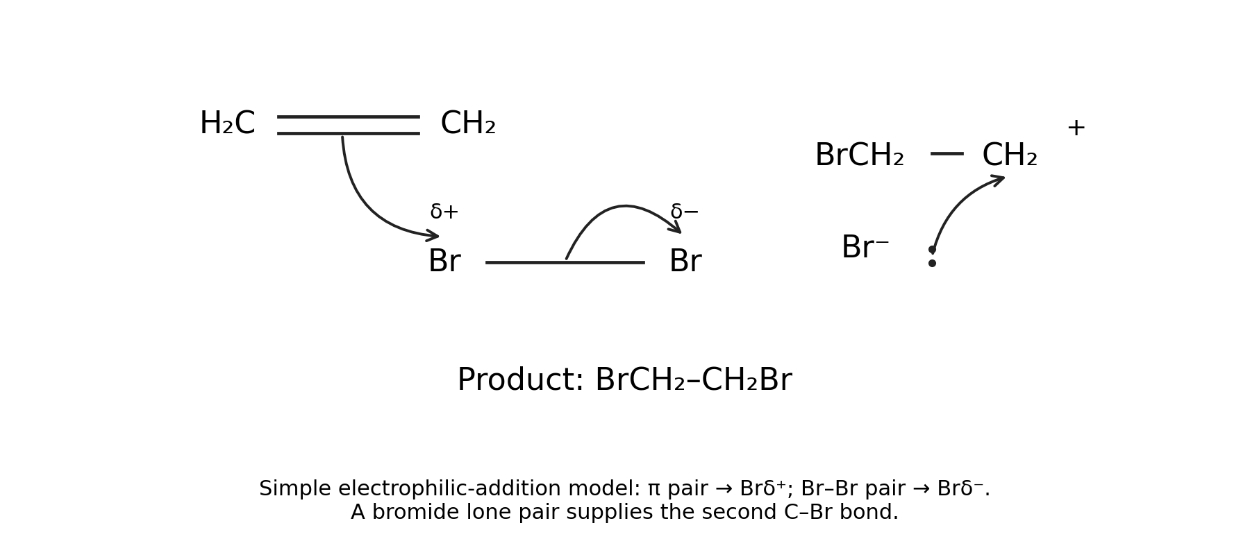 Flèches de paire d'électrons pour l'addition de brome sur l'éthène dans le modèle simple du carbocation.