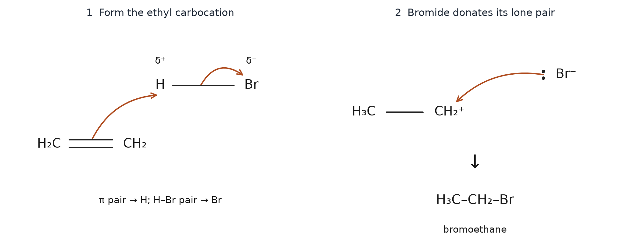 Mécanisme complet à la paire d'électrons pour l'éthène et le bromure d'hydrogène.