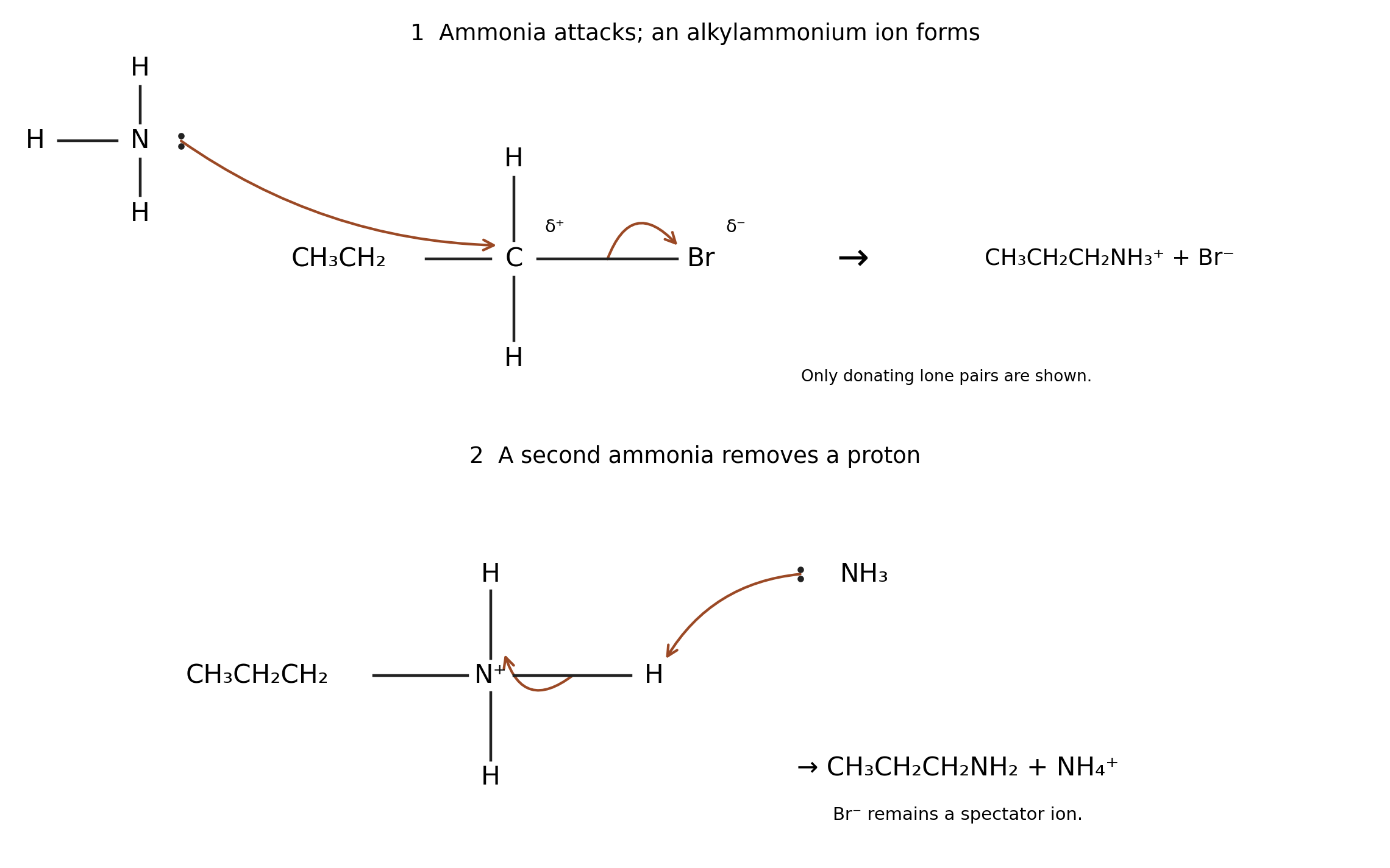 Ammonia substitution followed by proton transfer: all four electron-pair arrows and charges.