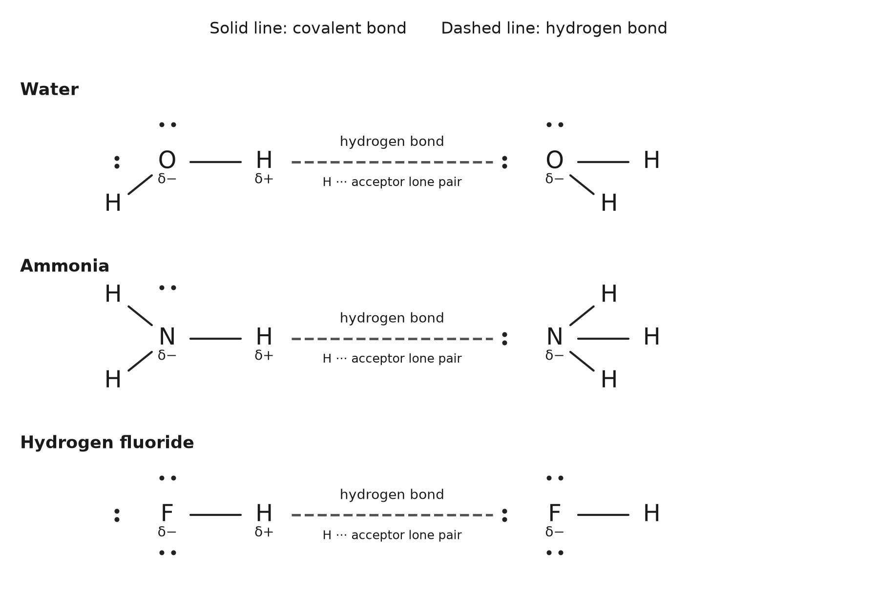 Les paires d'eau, d'ammoniac et de HF montrent un Hδ+ donneur attiré par un doublet accepteur. Les dessins schématiques ne sont pas des modèles de forme tridimensionnelle.