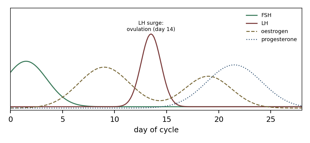 The four hormones of one cycle: FSH early, the LH surge at ovulation, oestrogen then progesterone through the second half.